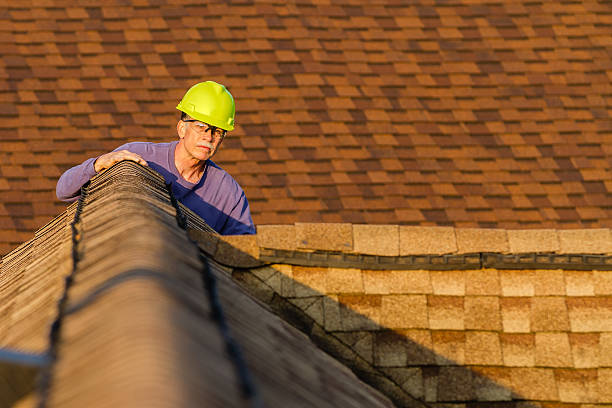 Roof Gutter Cleaning in Desloge, MO